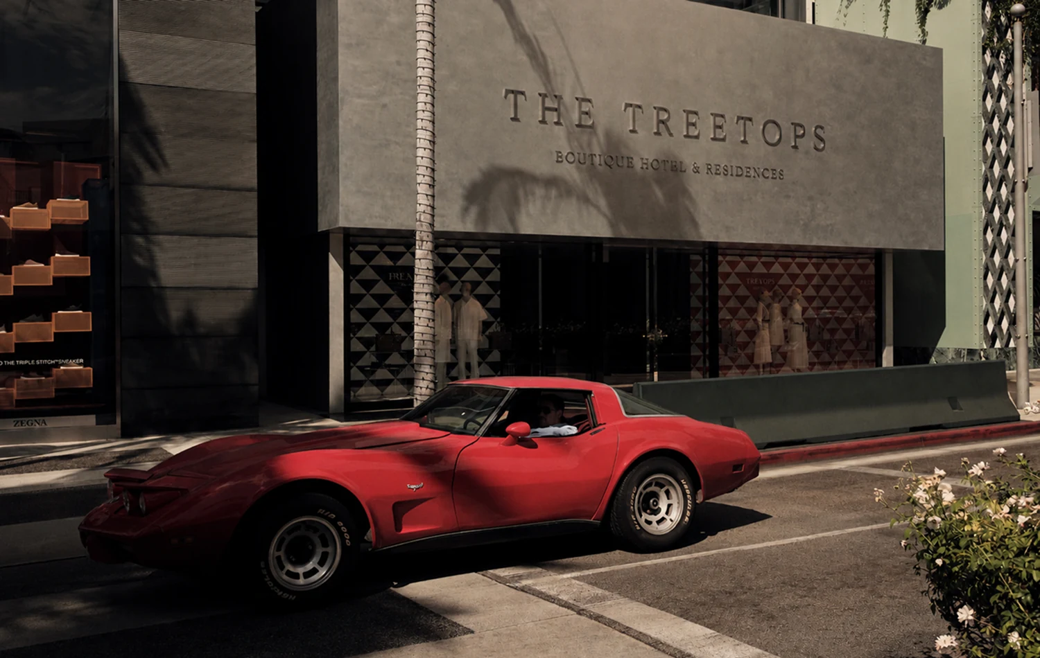 The Treetops